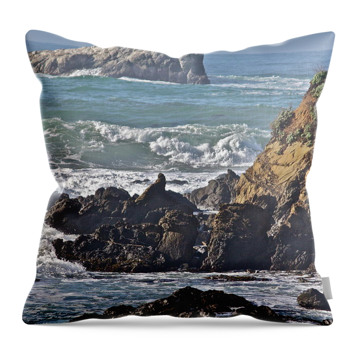 Sea Throw Pillow featuring the photograph Rocky Coast by Diana Hatcher