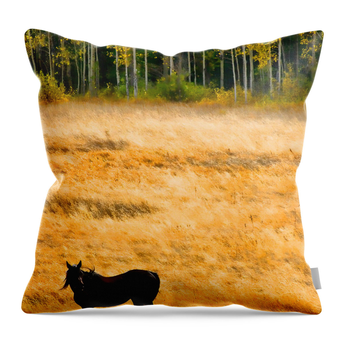 Boulder Throw Pillow featuring the photograph Rocky Mountain Autumn Graze by James BO Insogna