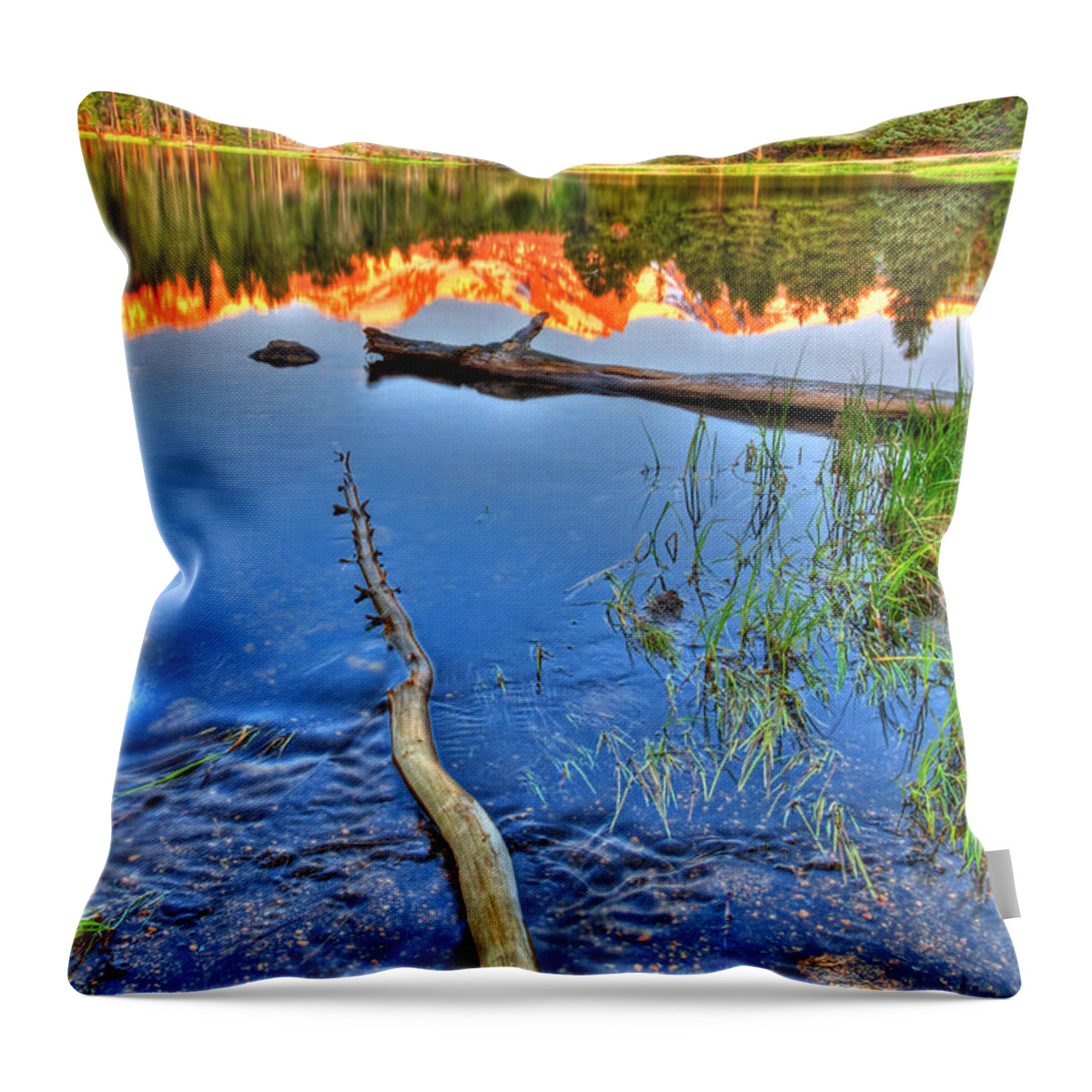 Lake Throw Pillow featuring the photograph Rocky Mountain Lake by Scott Mahon