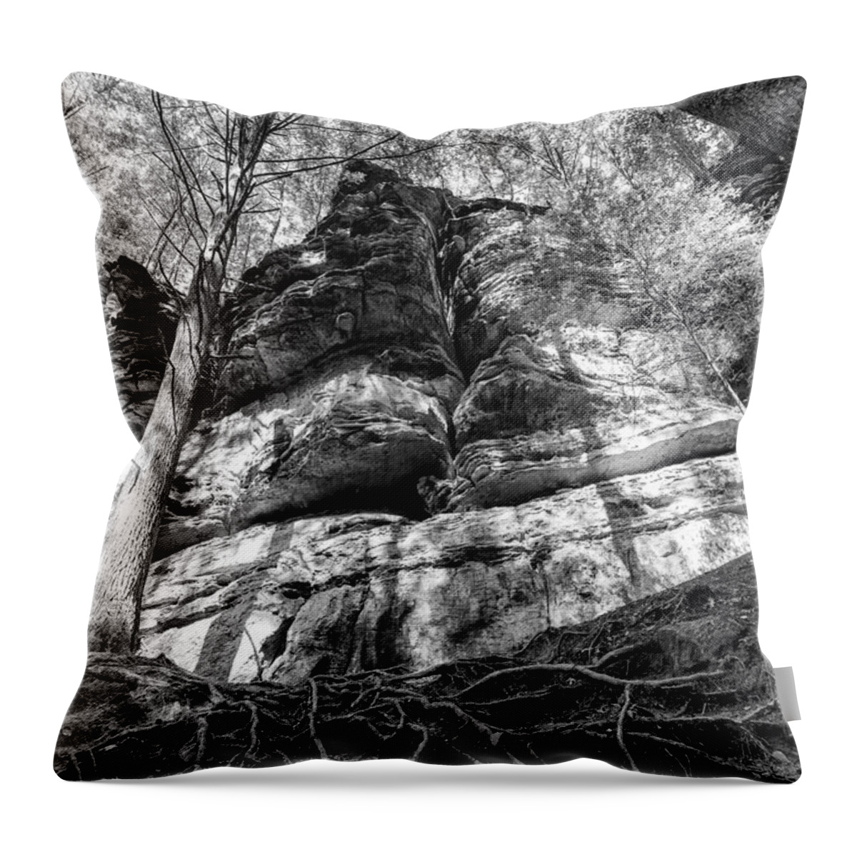 Rock Throw Pillow featuring the photograph Rocky Roots by Alan Raasch