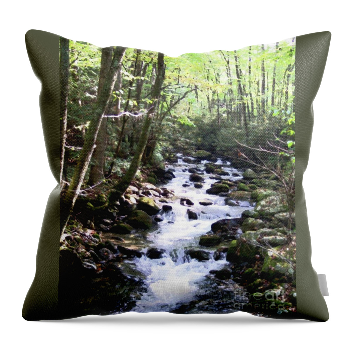 Wooded Stream Throw Pillow featuring the mixed media Rocky Stream 6 by Desiree Paquette