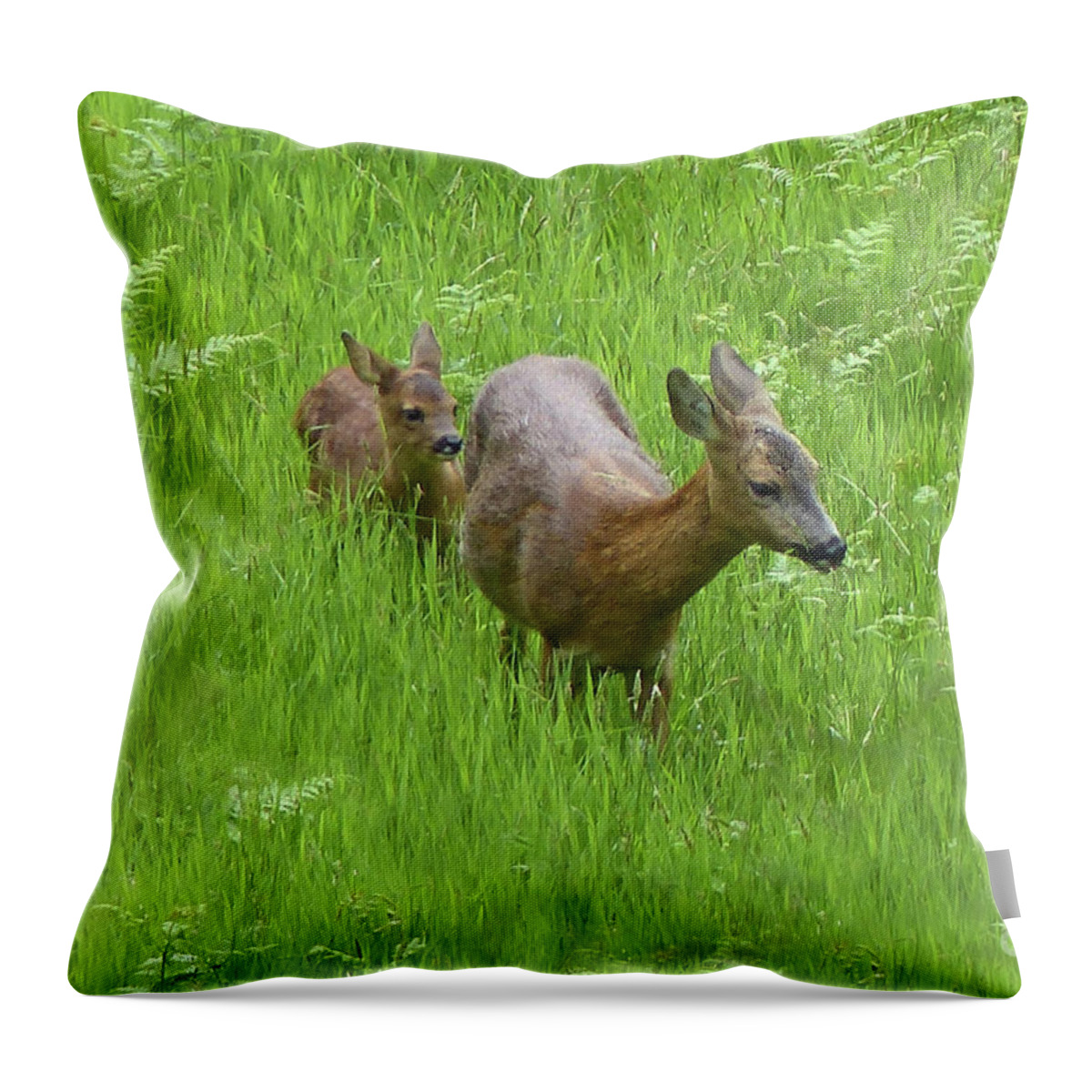 Roe Doe Throw Pillow featuring the photograph Roe doe with fawn by Phil Banks