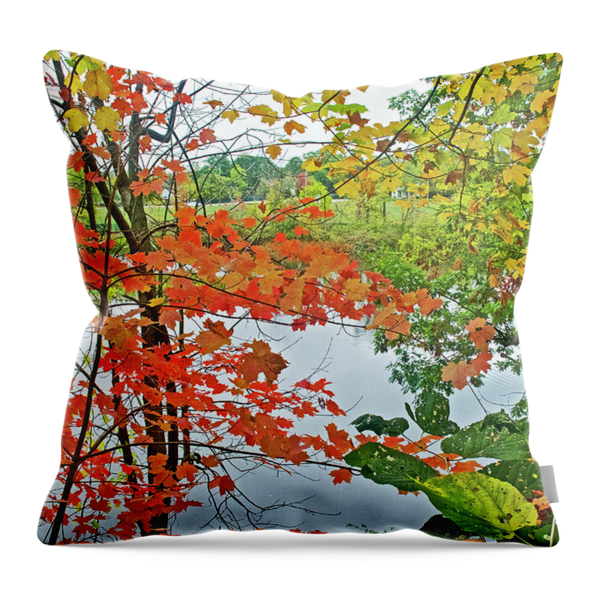 Rogue River Through Autumn Leaves In Rockford Throw Pillow featuring the photograph Rogue River through Autumn Leaves in Rockford, Michigan by Ruth Hager