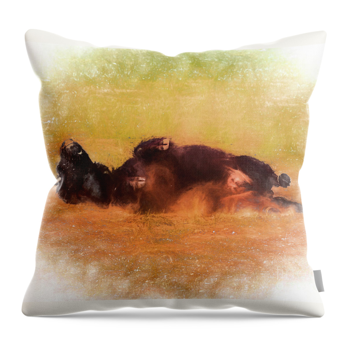 Bison Throw Pillow featuring the photograph Rolling Bison by Mark Jackson