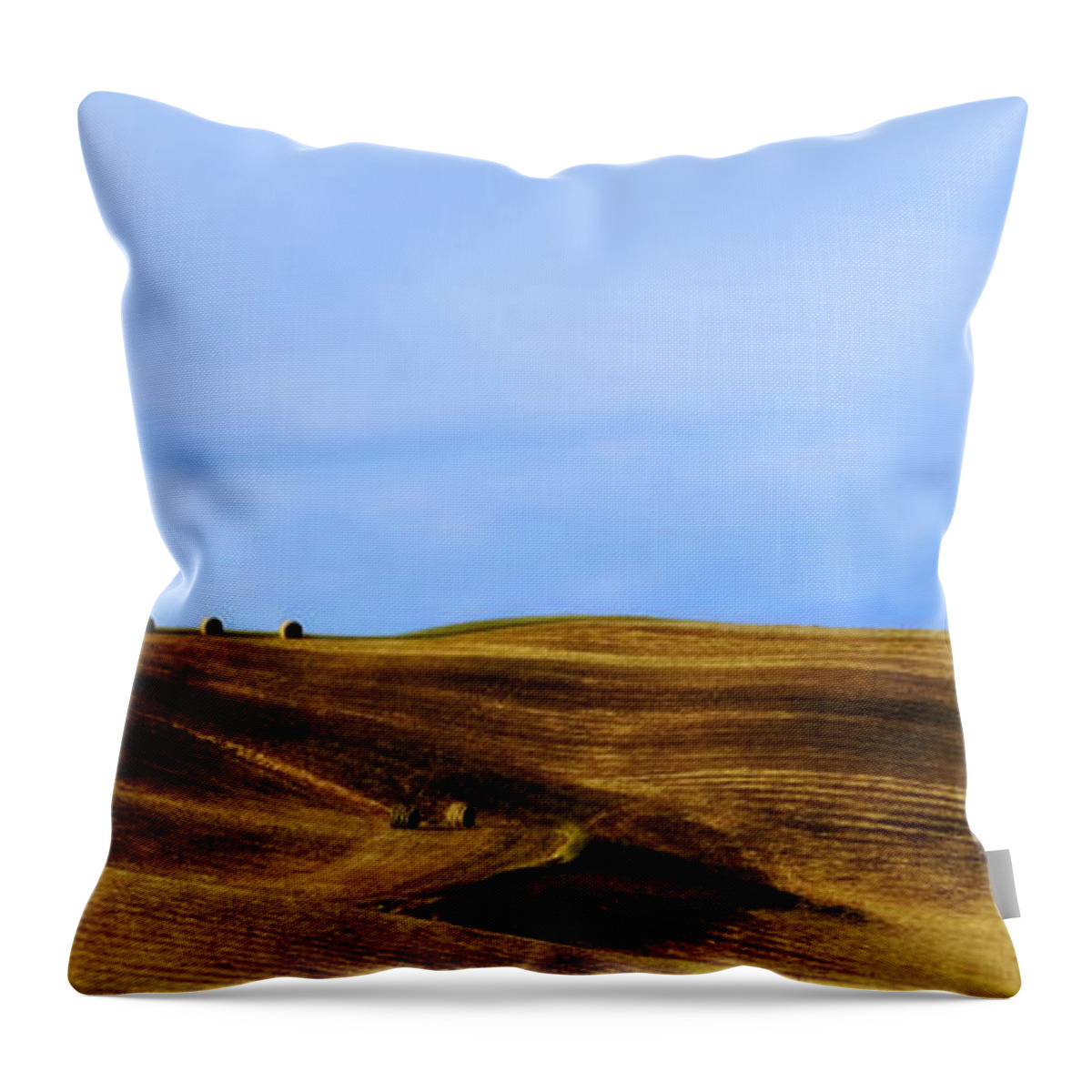 Landscape Throw Pillow featuring the photograph Rolling Hills and Bales of Hay by Marilyn Hunt
