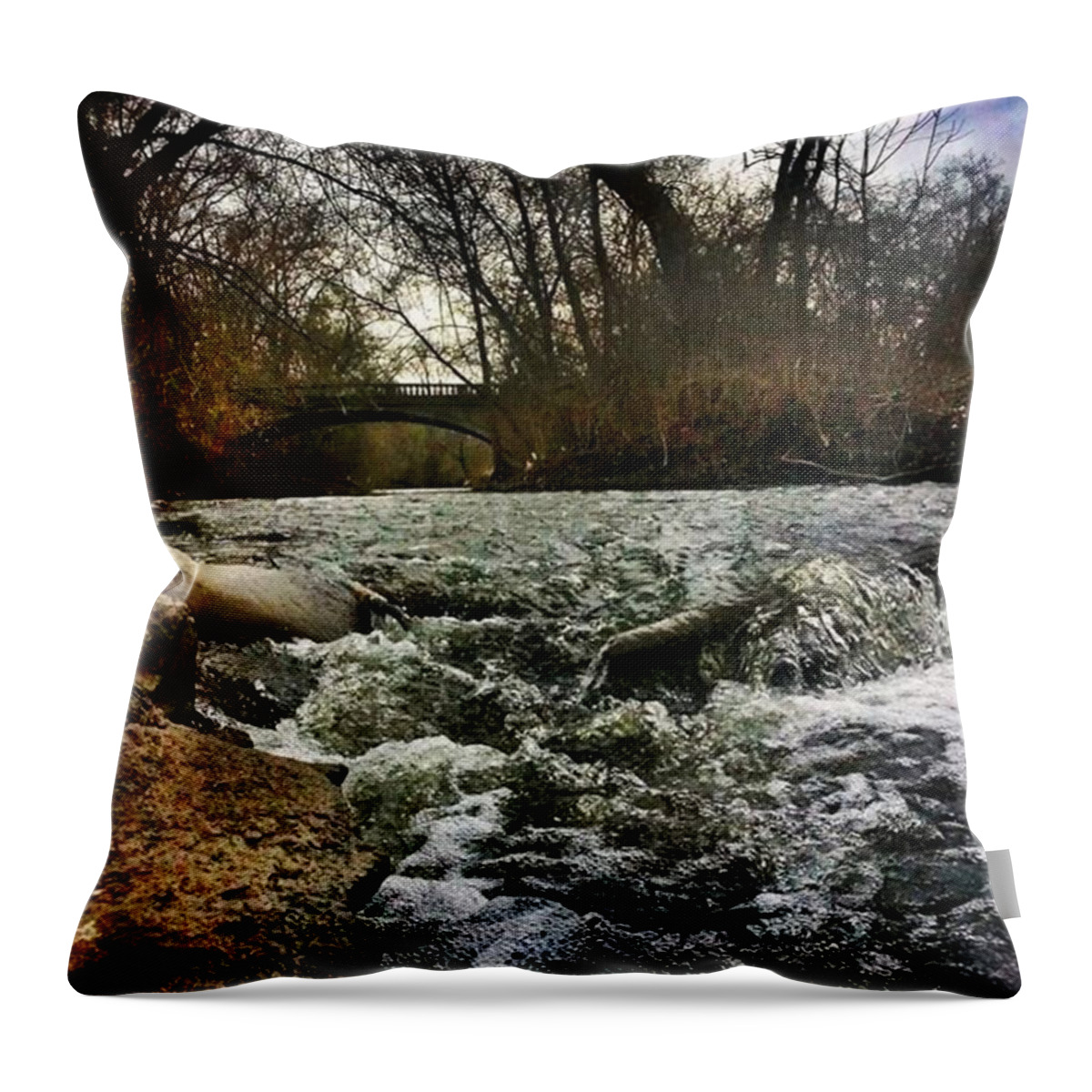  Throw Pillow featuring the photograph Rolling On The River by Robert Carey
