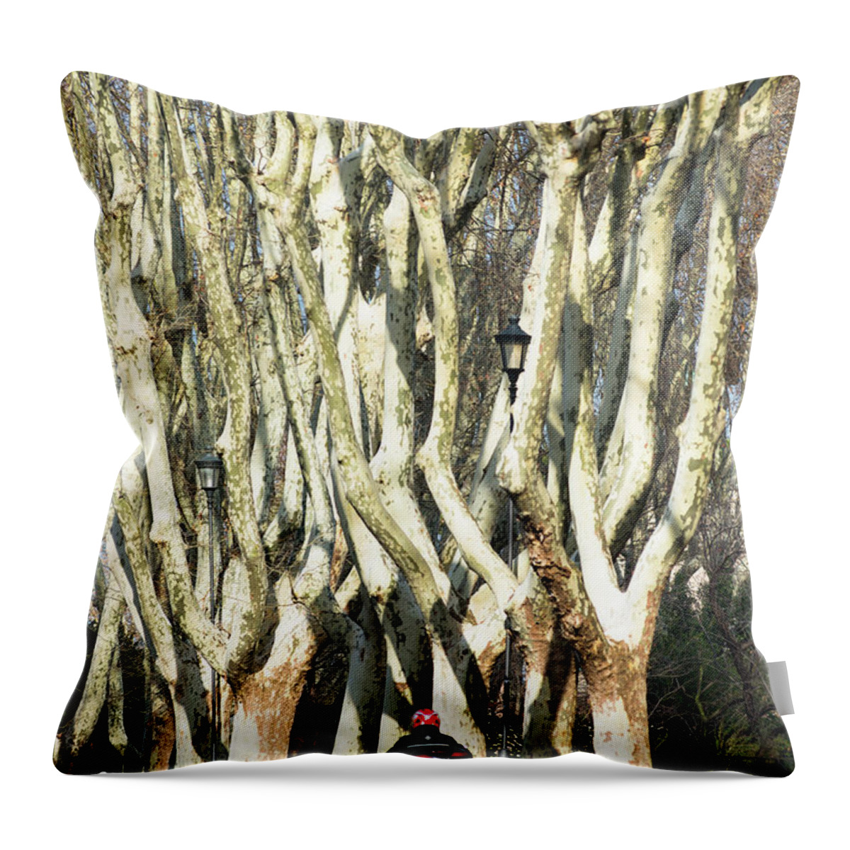 Rome Throw Pillow featuring the photograph Roman trees by Andrew Michael