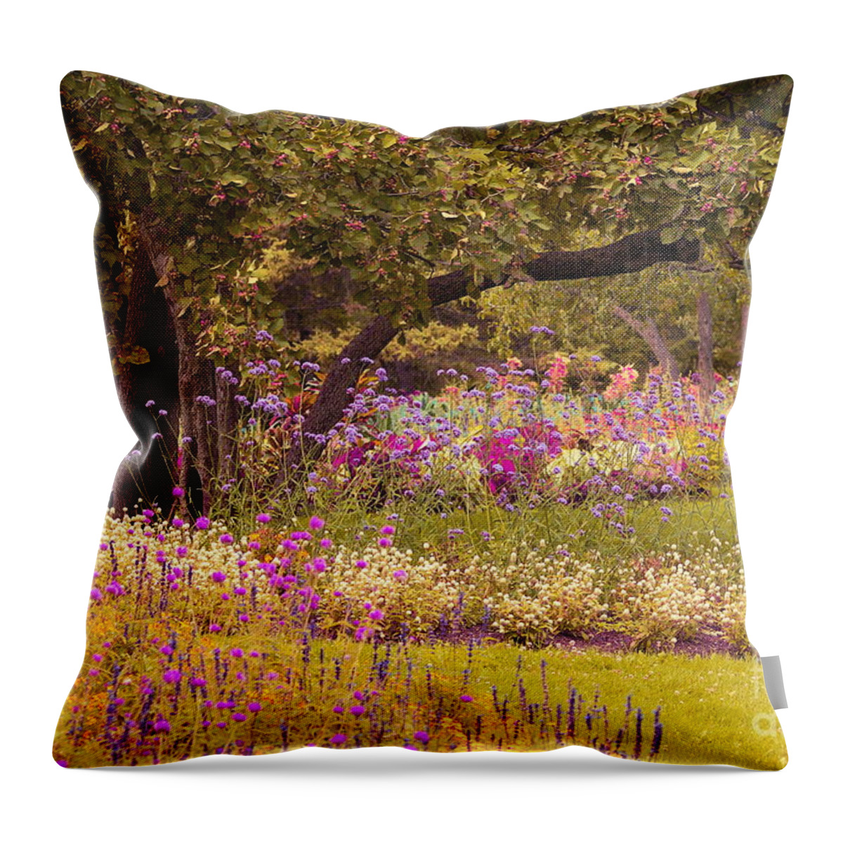 Tree Throw Pillow featuring the photograph Romanesquerie by Aimelle Ml