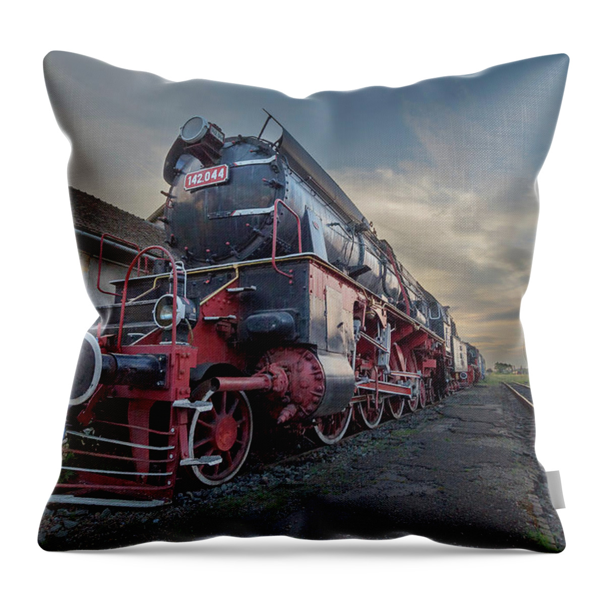 Romania Throw Pillow featuring the photograph No More Steam by Rick Deacon