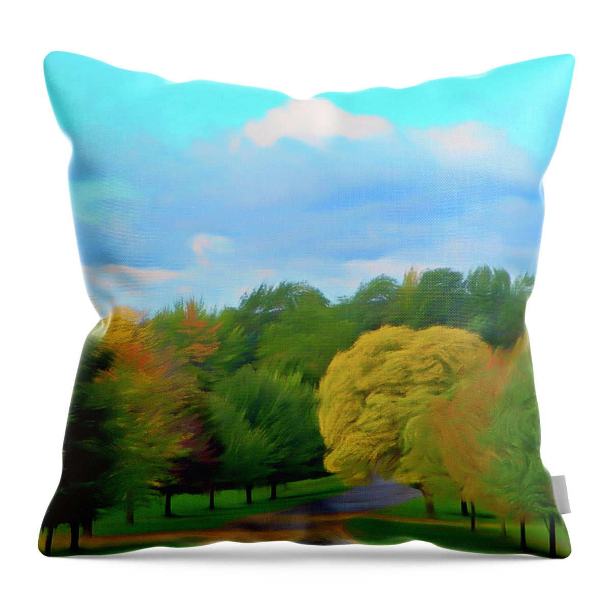 Autumn Throw Pillow featuring the photograph Romantic Skies Autumn Road by Aimee L Maher ALM GALLERY