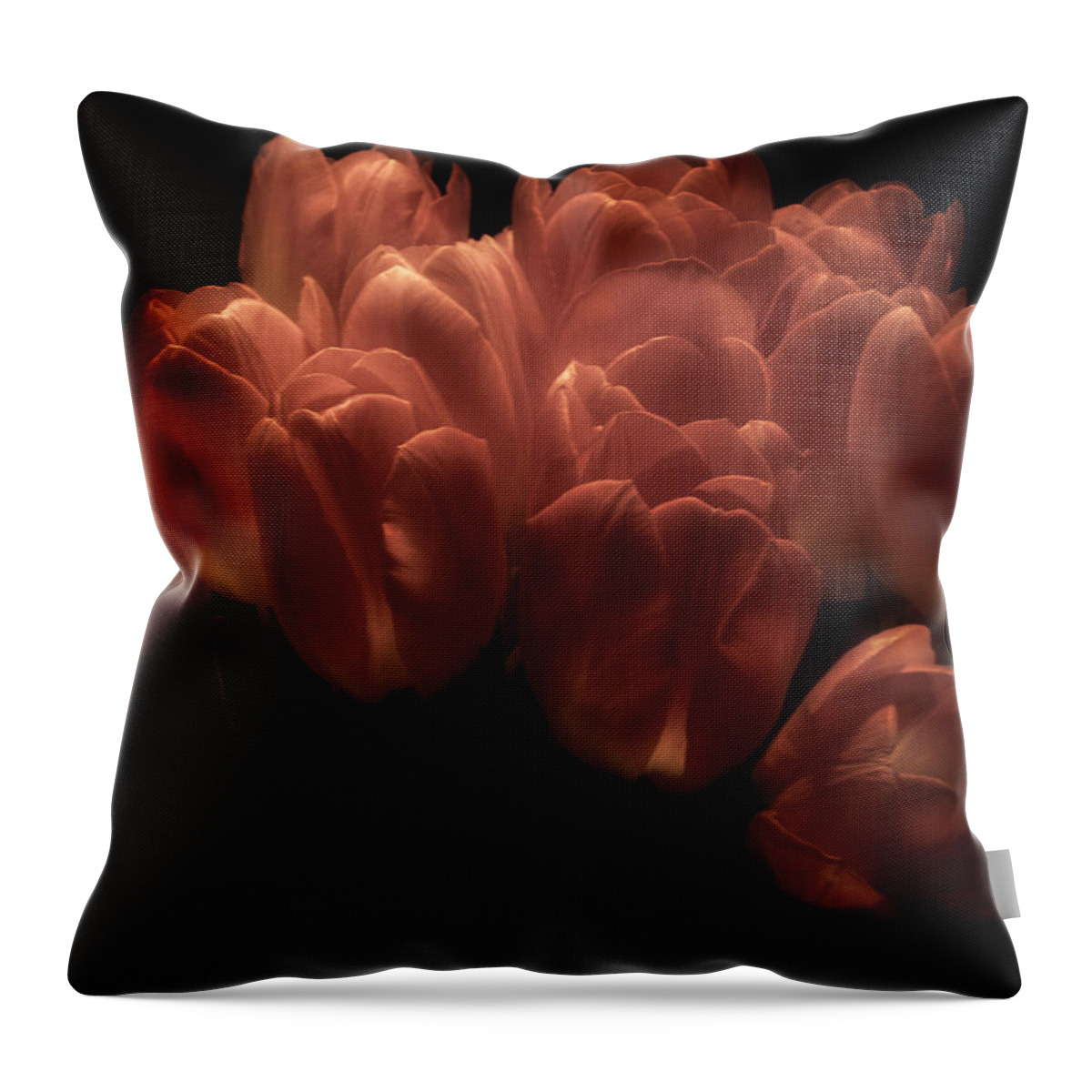 Tulips Throw Pillow featuring the photograph Romantic Tulips by Richard Cummings