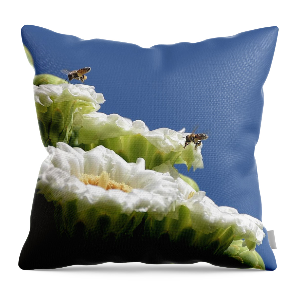 Carnegiea Gigantea Throw Pillow featuring the photograph Room for Another Load by Debra Sabeck