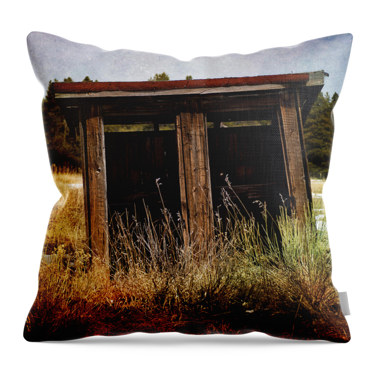 Outhouse Throw Pillow featuring the photograph Room for Two by Elin Skov Vaeth