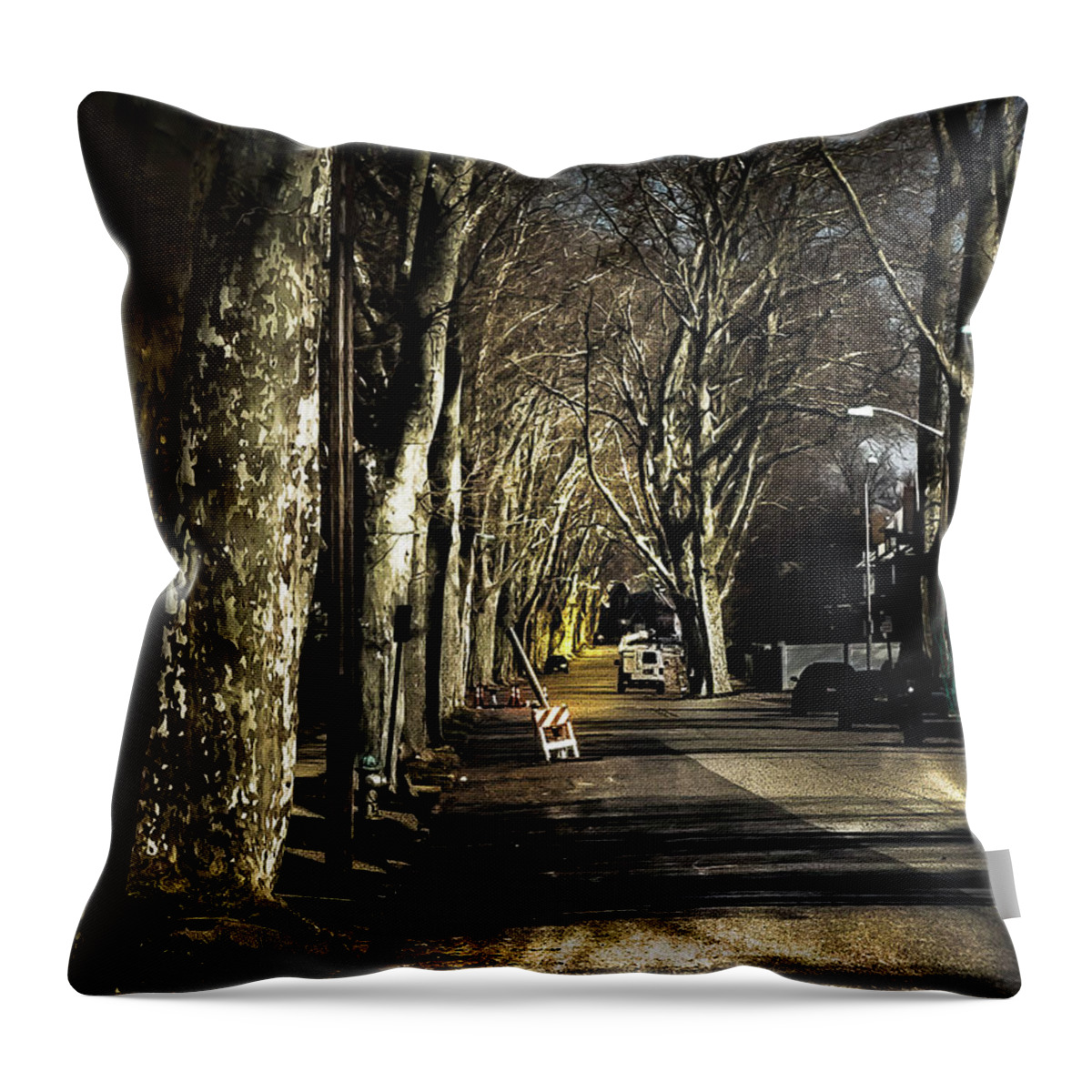 Roosevelt Throw Pillow featuring the photograph Roosevelt Avenue II by Leon deVose