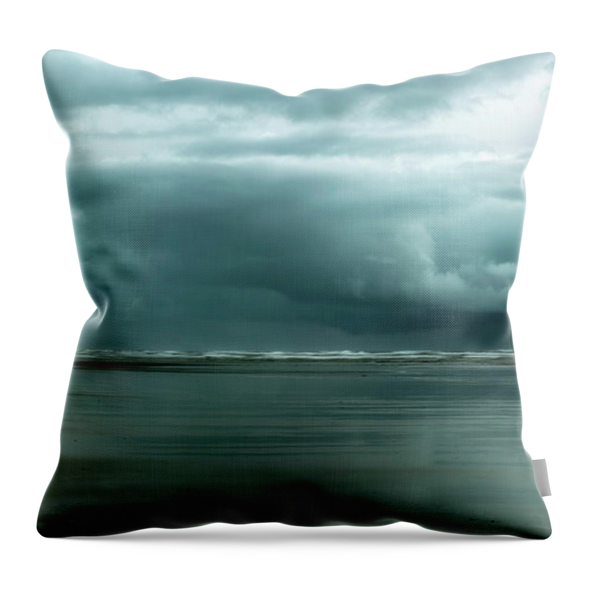 Roosevelt Throw Pillow featuring the photograph Roosevelt's Mood by Ryan Manuel