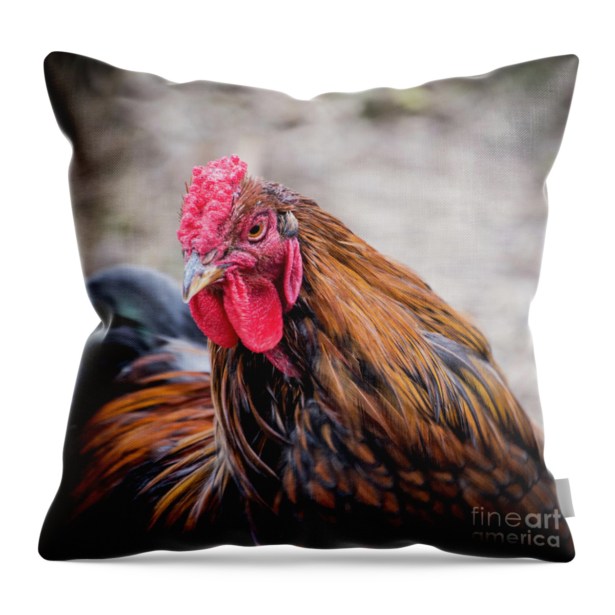 Rooster Throw Pillow featuring the photograph Rooster by Cheryl McClure