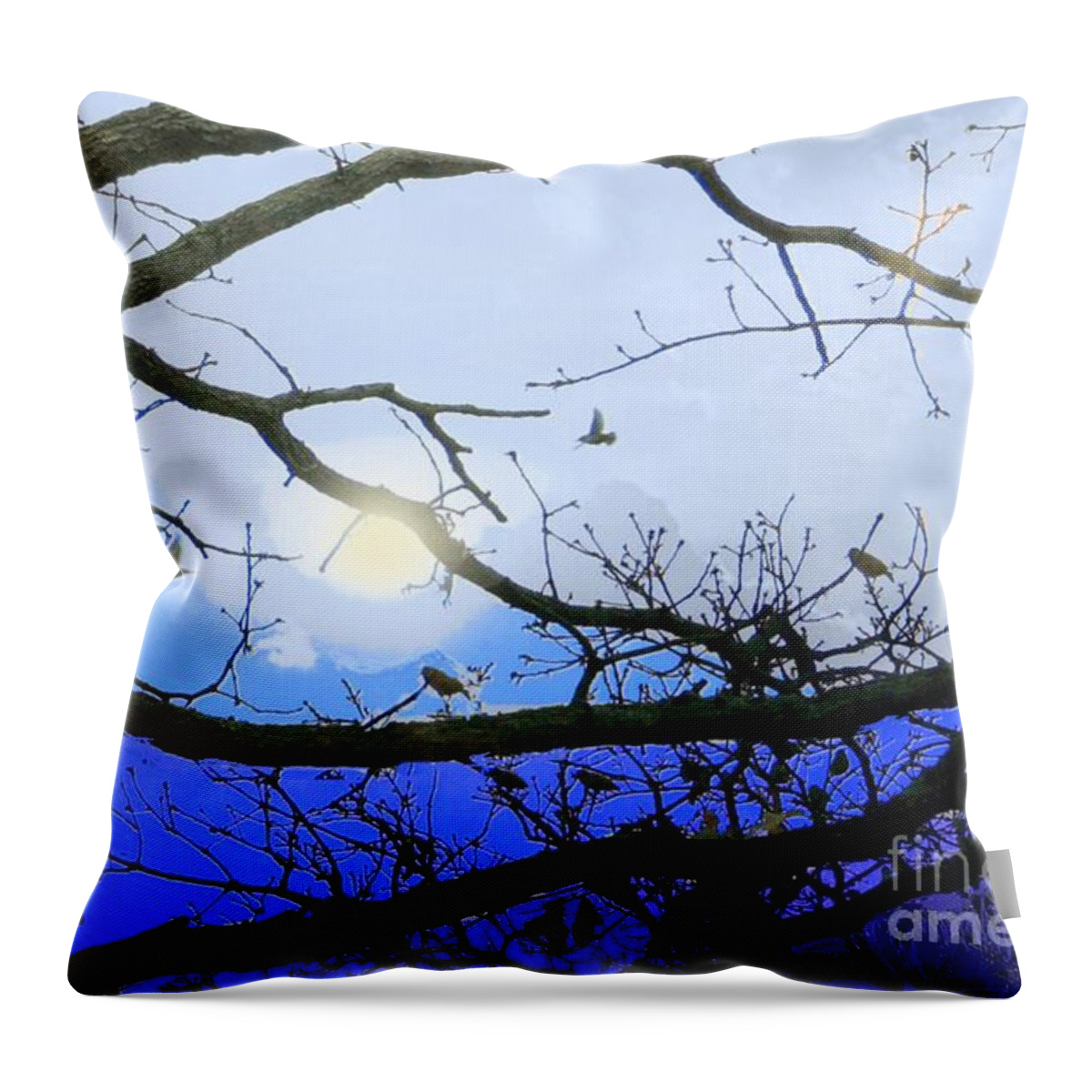 Avian Throw Pillow featuring the photograph Roosting Birds in Blue by Janette Boyd