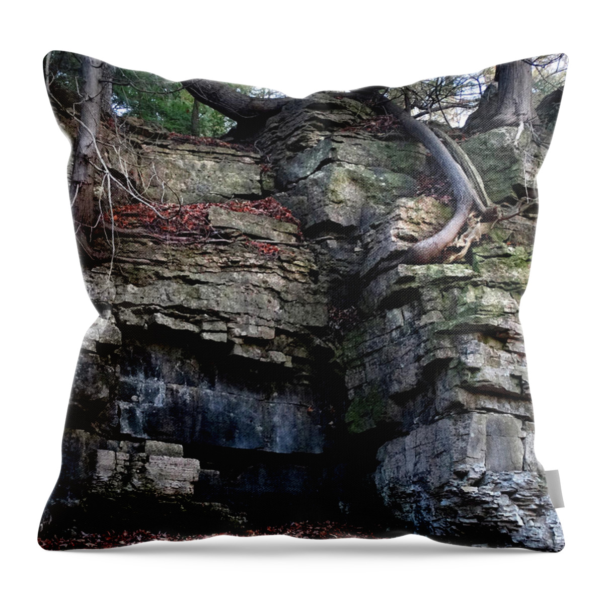 Niagara Escarpment Throw Pillow featuring the photograph Rooted in the Cliff by David T Wilkinson