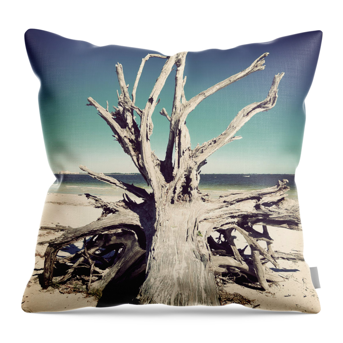 Florida Throw Pillow featuring the photograph Roots to the Sky-Vintage by Chris Andruskiewicz