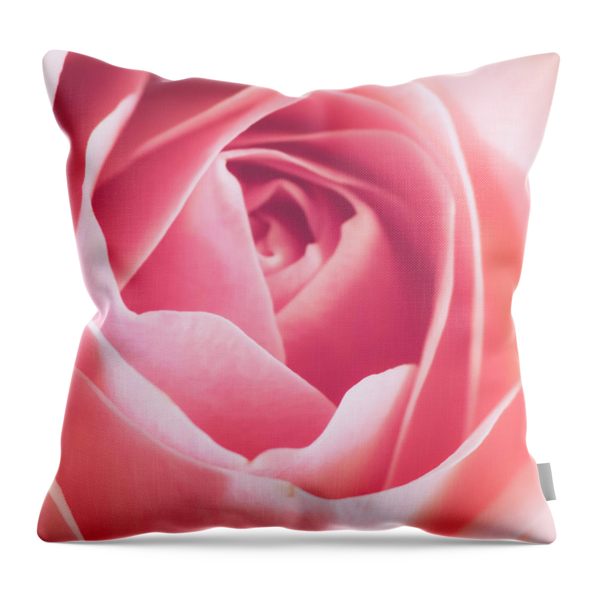 Pink Throw Pillow featuring the photograph Rosa by Wim Lanclus