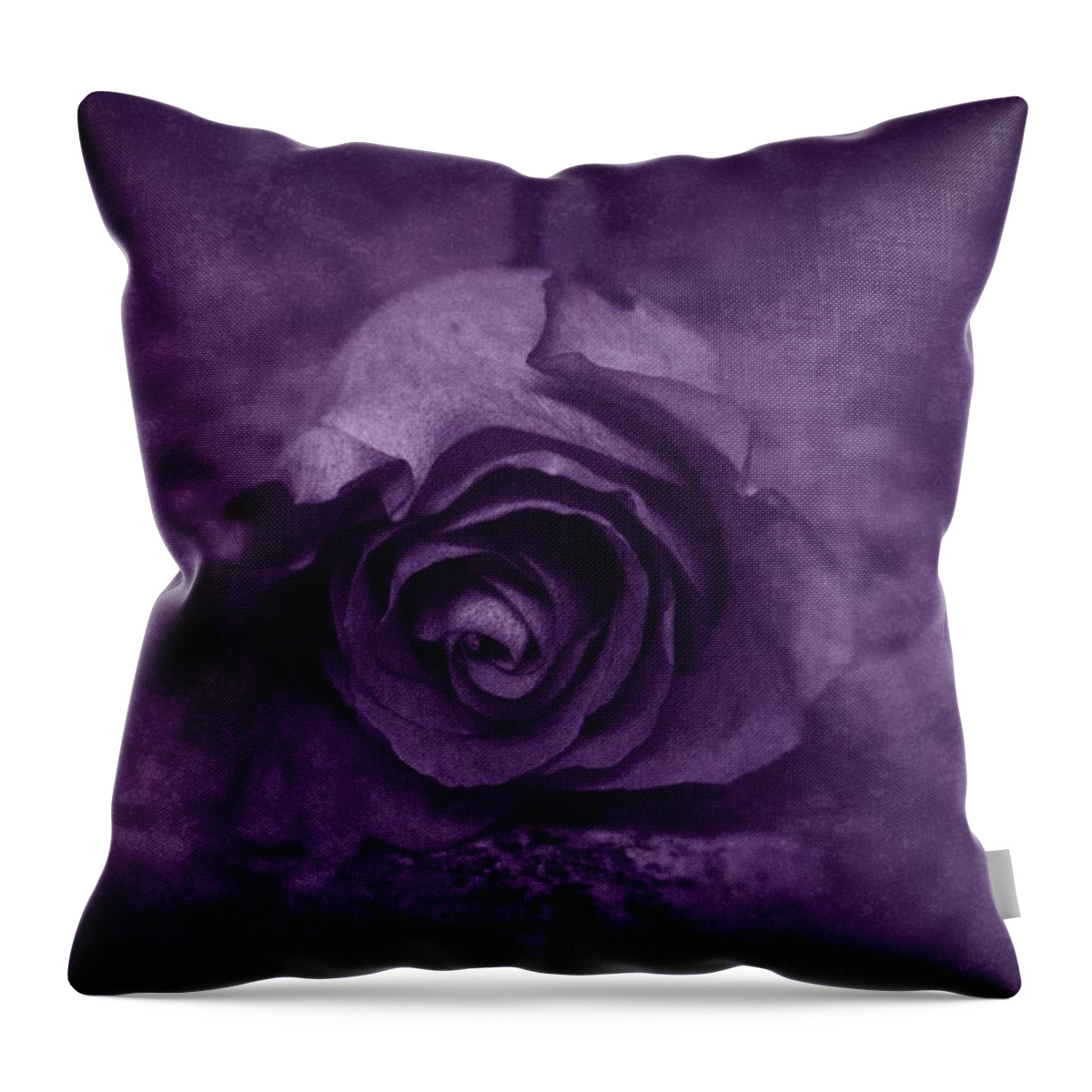 Purple Throw Pillow featuring the photograph Rose - Purple by Angie Tirado