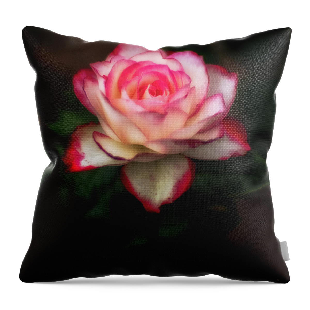 Anniversary Throw Pillow featuring the photograph Rose by Bill Frische