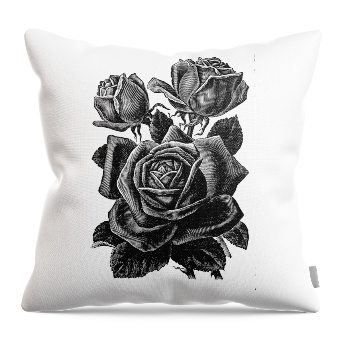 Vintage Rose Throw Pillow featuring the digital art Rose Black by Kim Kent