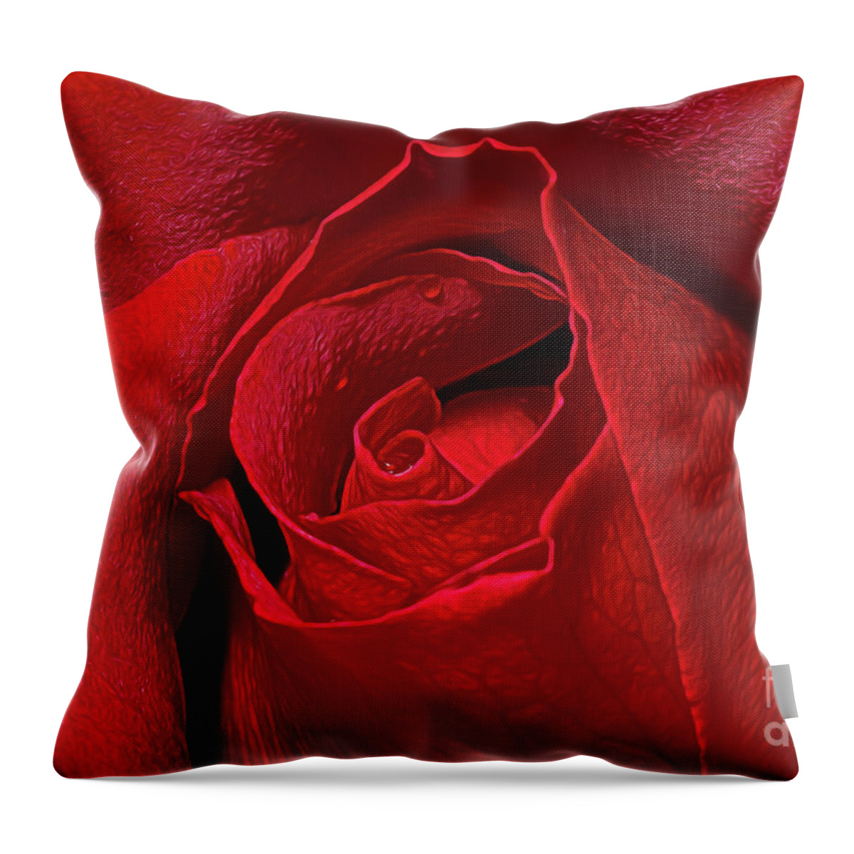 Close Up Throw Pillow featuring the photograph Rose Bud by Ray Shiu