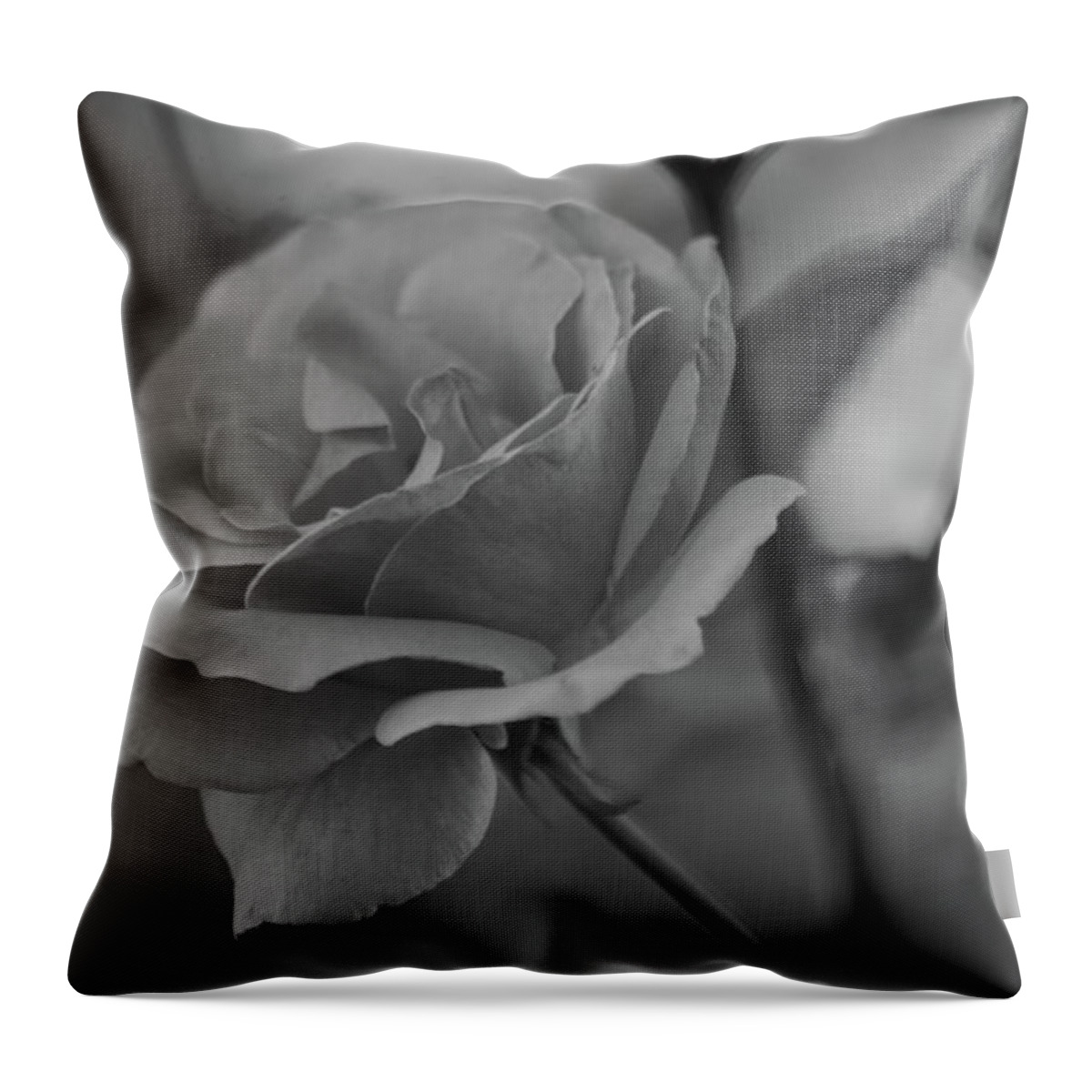 Rose Throw Pillow featuring the photograph Rose BW by Tannis Baldwin