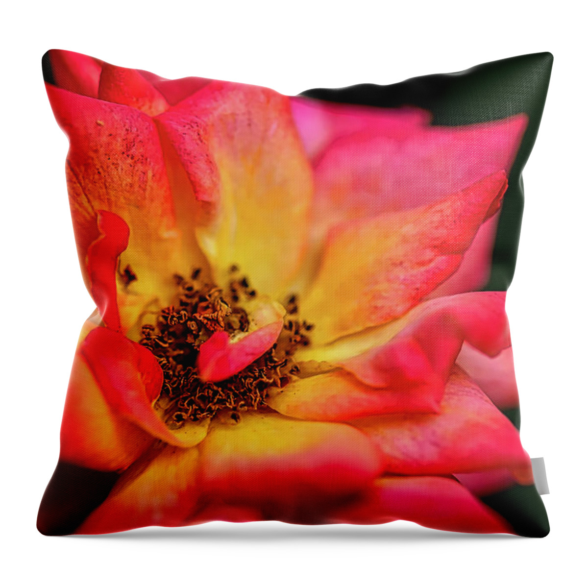 Rose Throw Pillow featuring the photograph Rose Corolla by Richard Gregurich