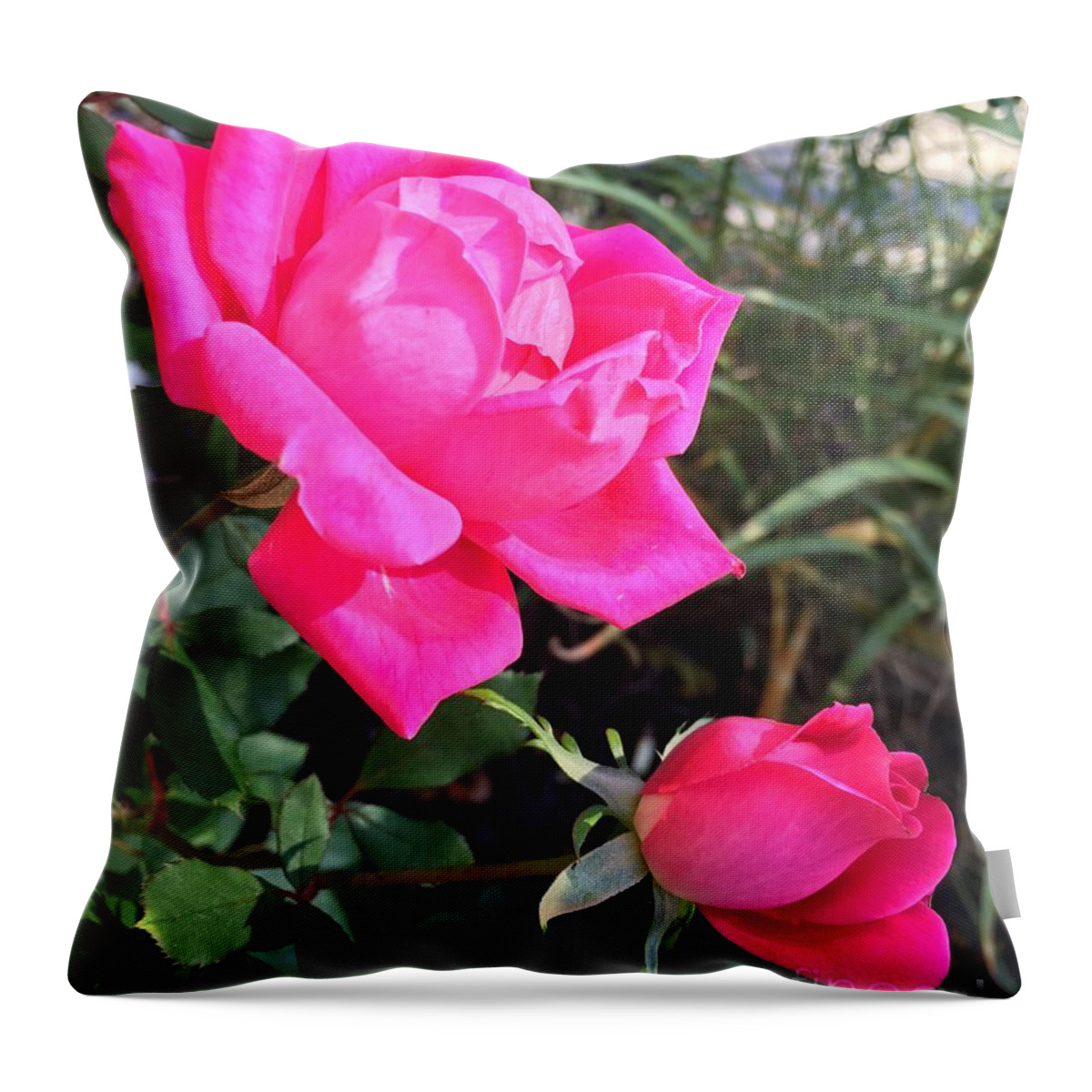 Rose Throw Pillow featuring the photograph Rose Duet by CAC Graphics