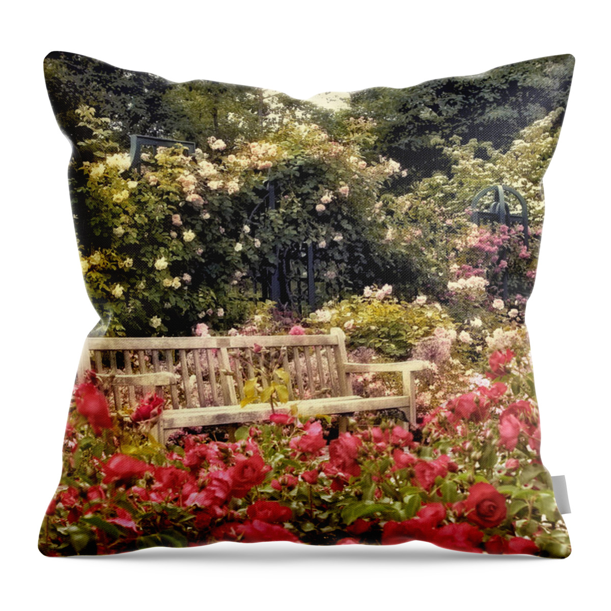 Garden Throw Pillow featuring the photograph Rose Garden Respite by Jessica Jenney