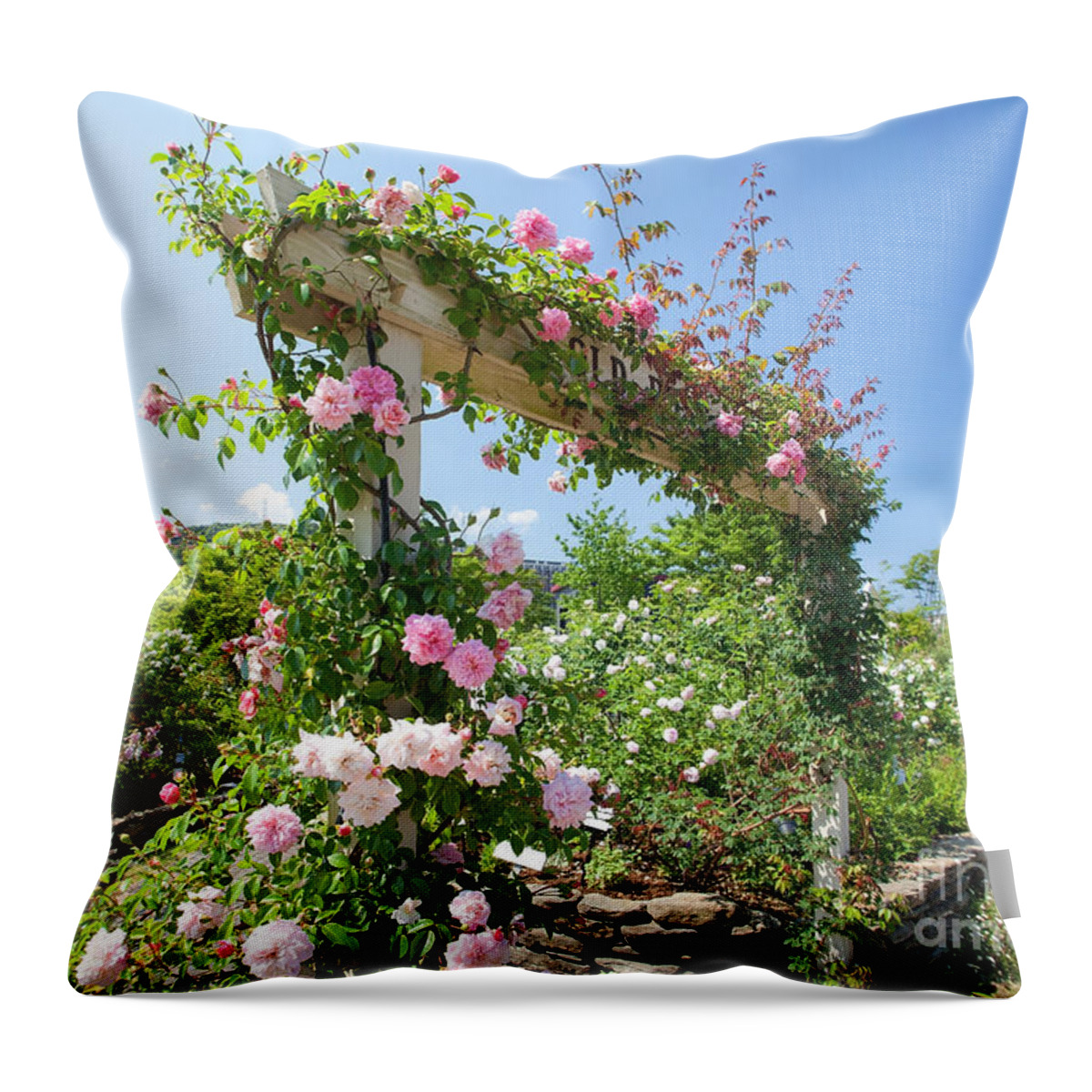 Rose Flower Throw Pillow featuring the photograph Rose Gate by Aiolos Greek Collections