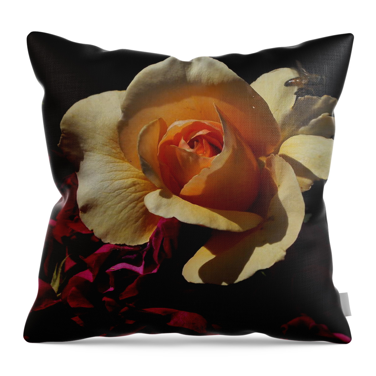 Botanical Throw Pillow featuring the photograph Rose Gold, Red and Busy Bee by Richard Thomas