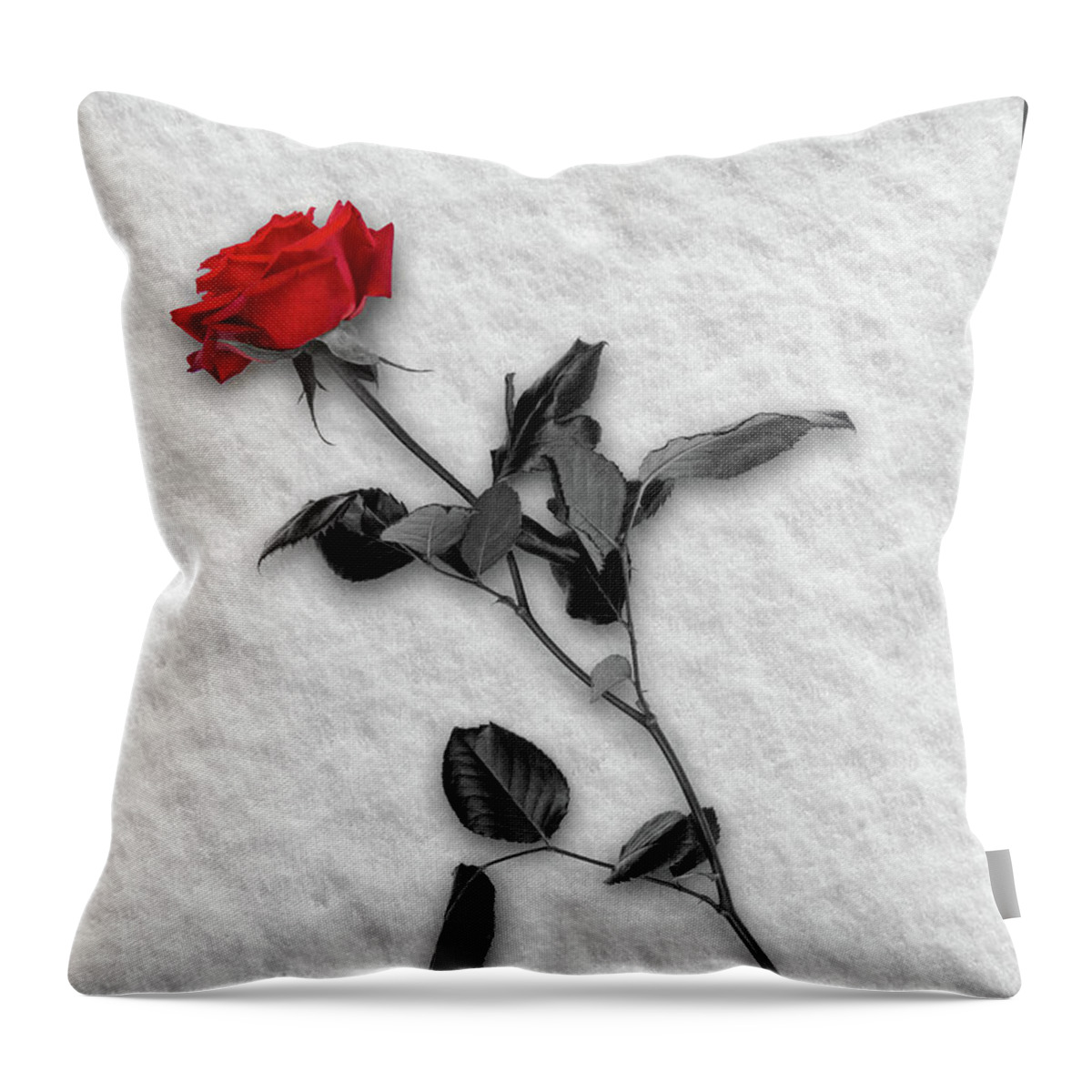 Red Throw Pillow featuring the photograph Rose in Snow by Wim Lanclus