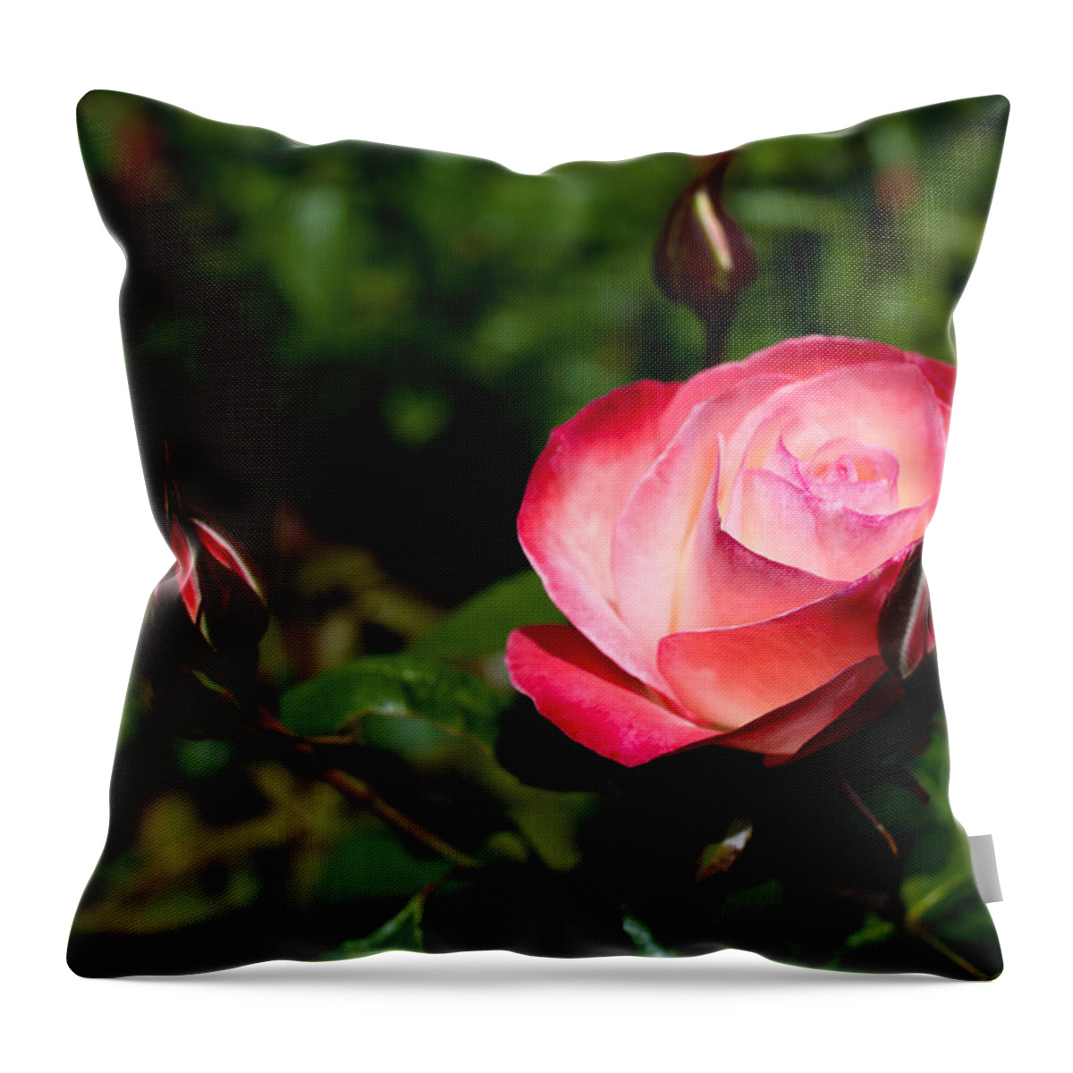 Flower Throw Pillow featuring the photograph Rose by Lora Lee Chapman