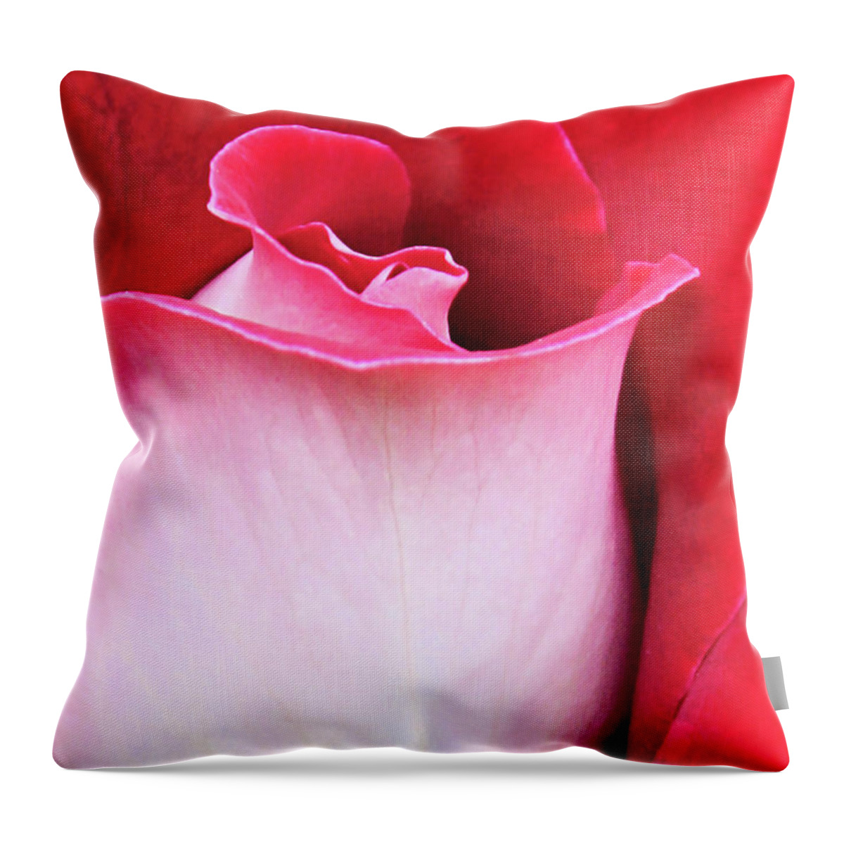 Rose Throw Pillow featuring the photograph Rose Petals by Kristin Elmquist