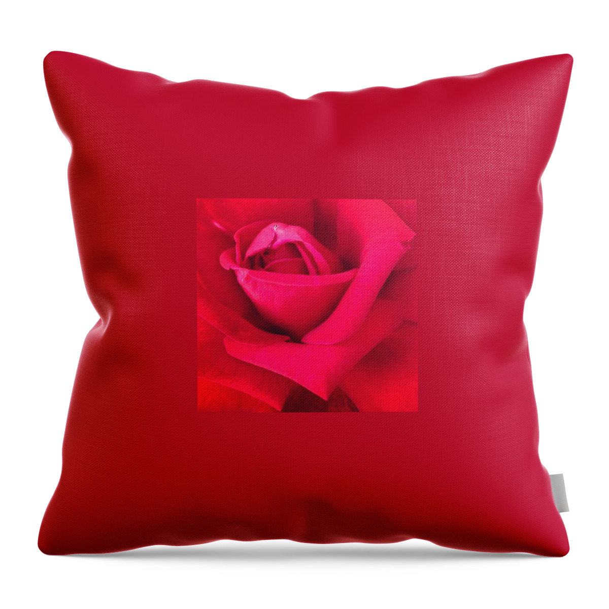 Beautiful Throw Pillow featuring the photograph Rose by Jasmine Poulos