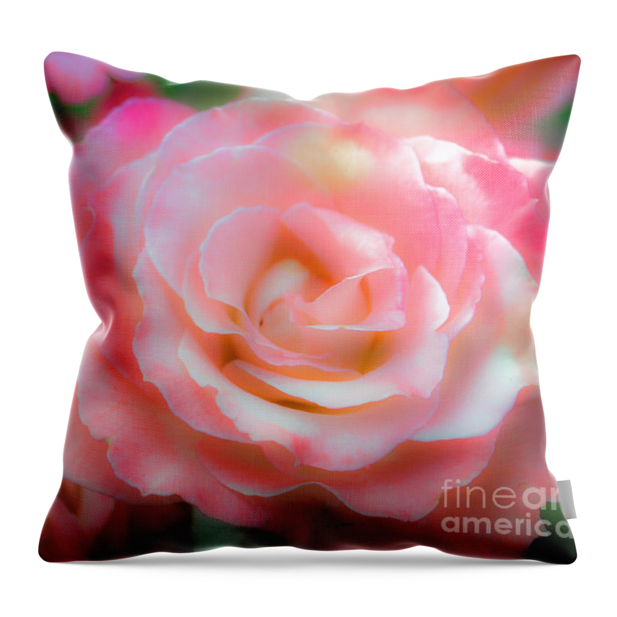Roses Throw Pillow featuring the photograph Rose by Toni Somes