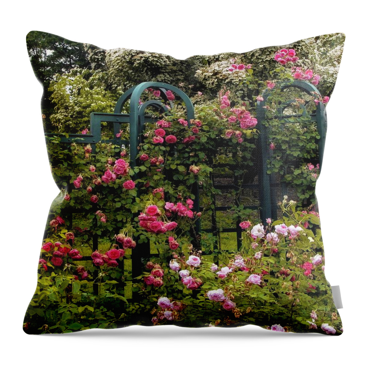 Nature Throw Pillow featuring the photograph Rose Trellis by Jessica Jenney