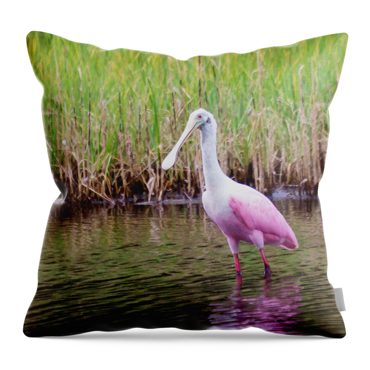 Wildlfe Throw Pillow featuring the photograph Roseate Spoonbill by Patricia Schaefer