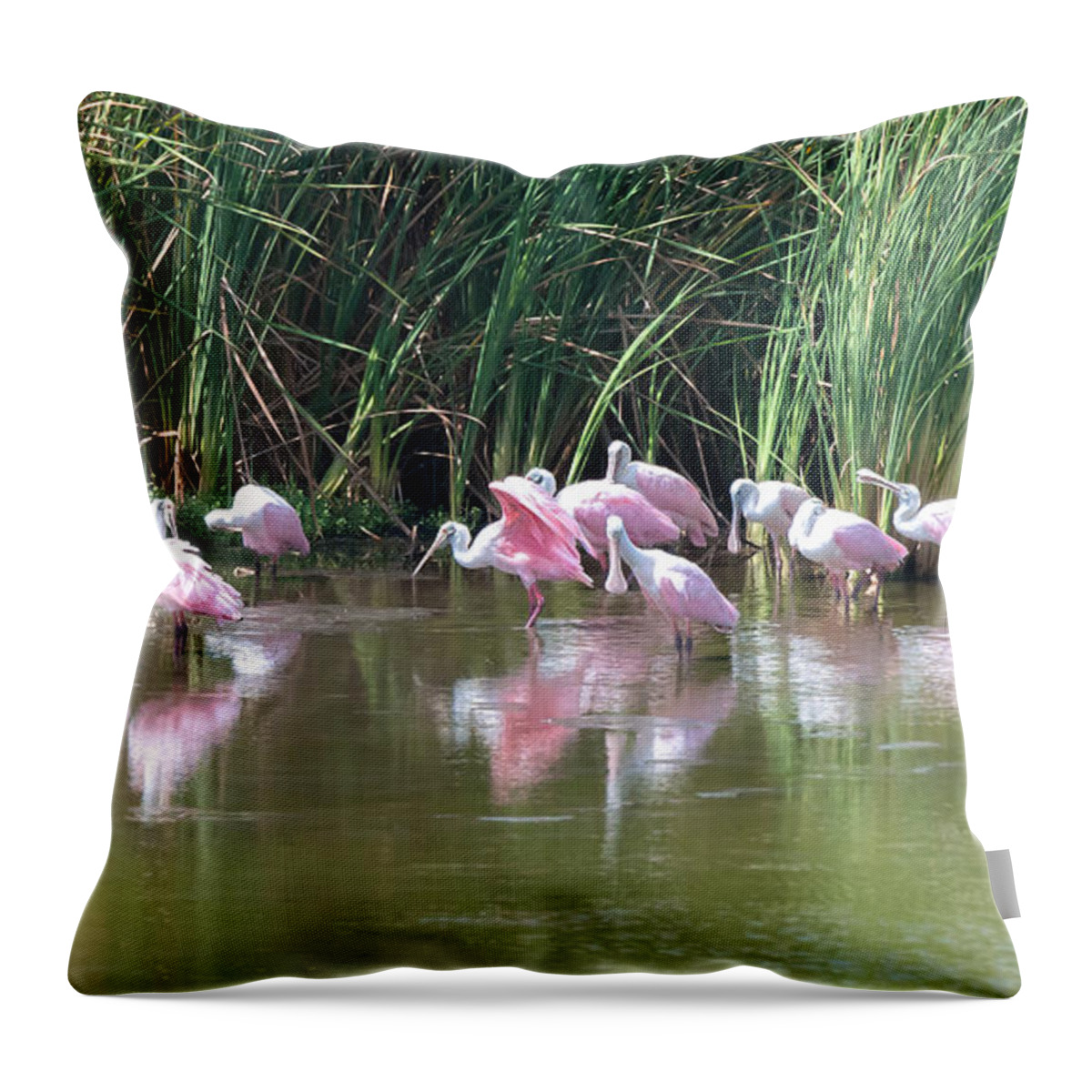 Roseate Spoonbill Throw Pillow featuring the photograph Roseate Spoonbills by Maria Nesbit