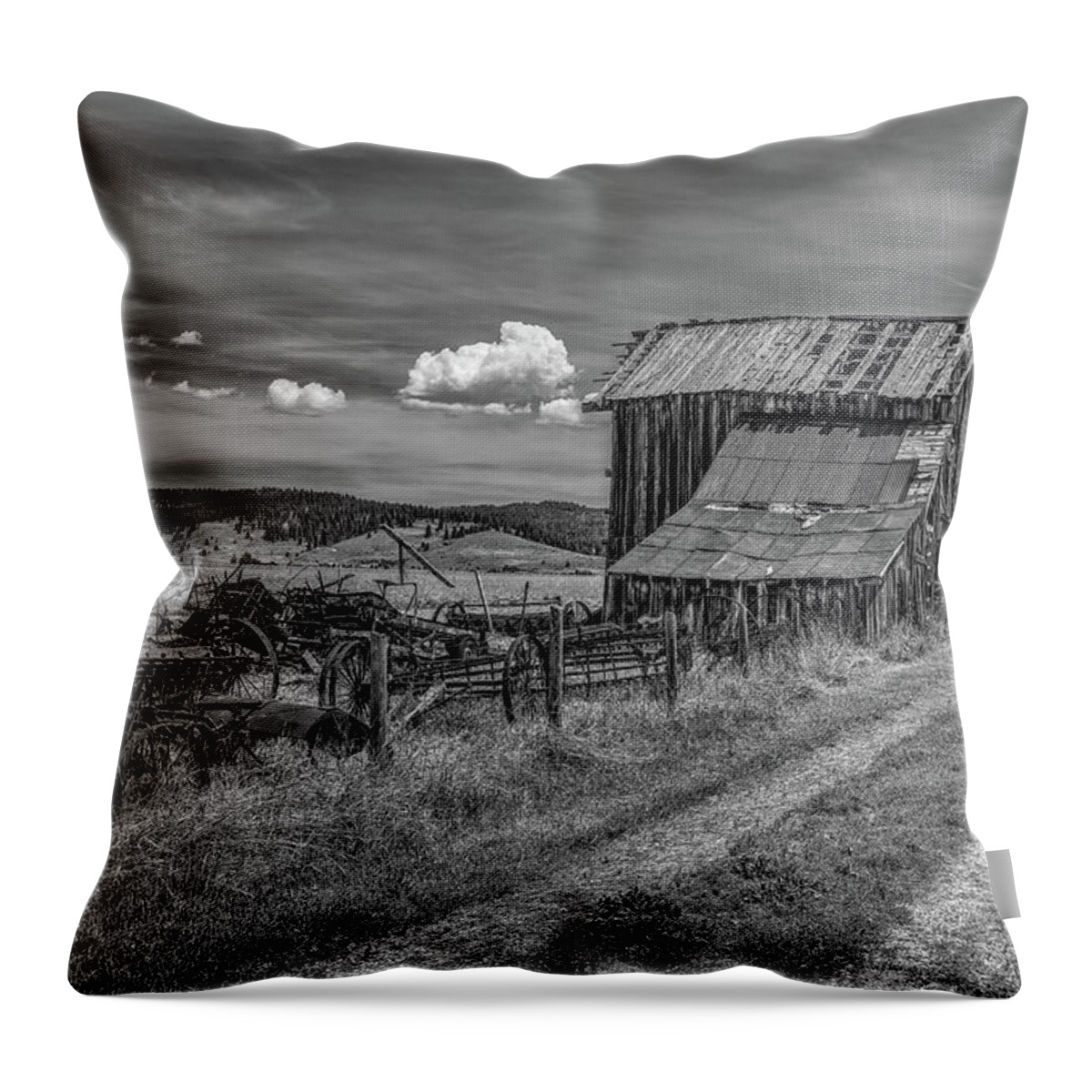 Farm Throw Pillow featuring the photograph Roseberry Farm by Richard J Cassato