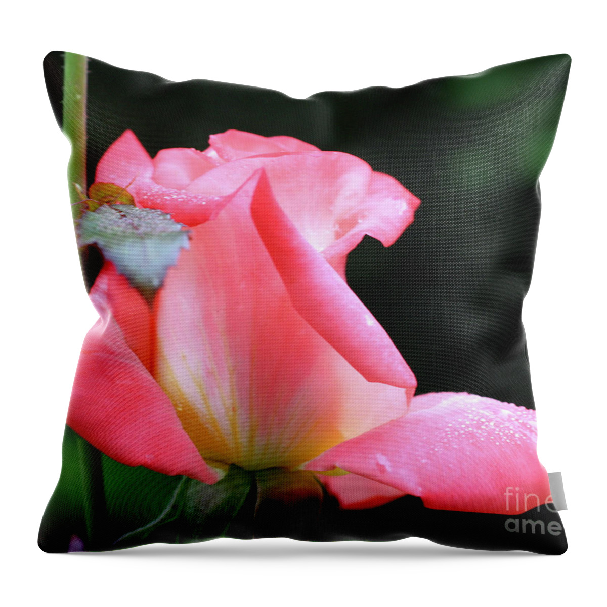Flower Throw Pillow featuring the photograph Rosebud Delight by Smilin Eyes Treasures
