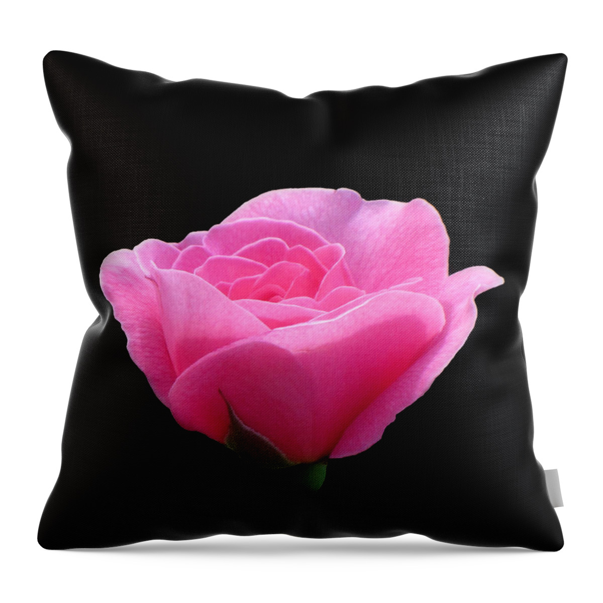 Rose Throw Pillow featuring the photograph Roses Are Pink - on Black by MTBobbins Photography