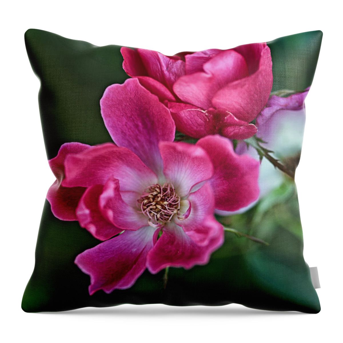 Flowers Throw Pillow featuring the photograph Roses for You by Susan Moody