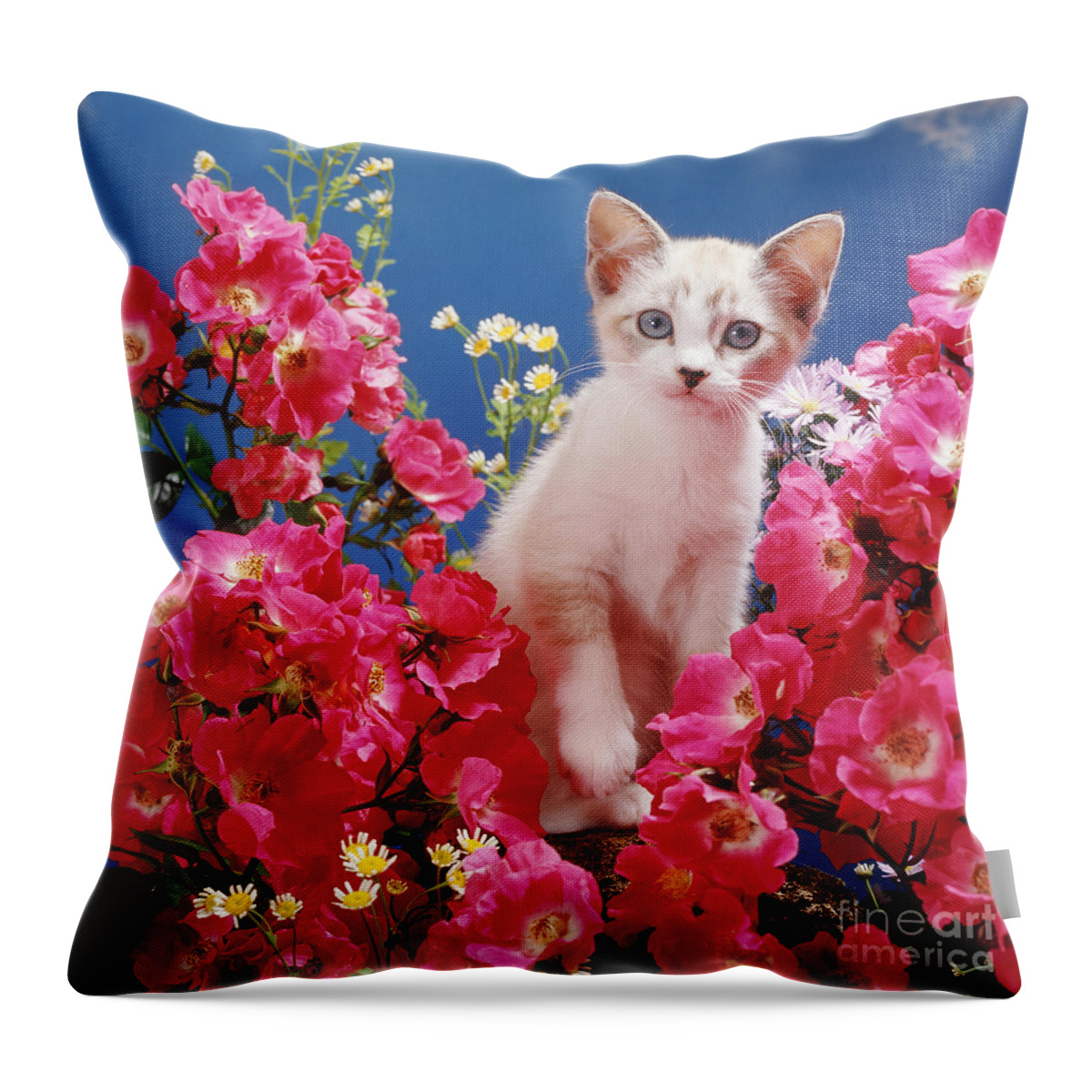 Devon Rex Throw Pillow featuring the photograph Roses Galore by Warren Photographic