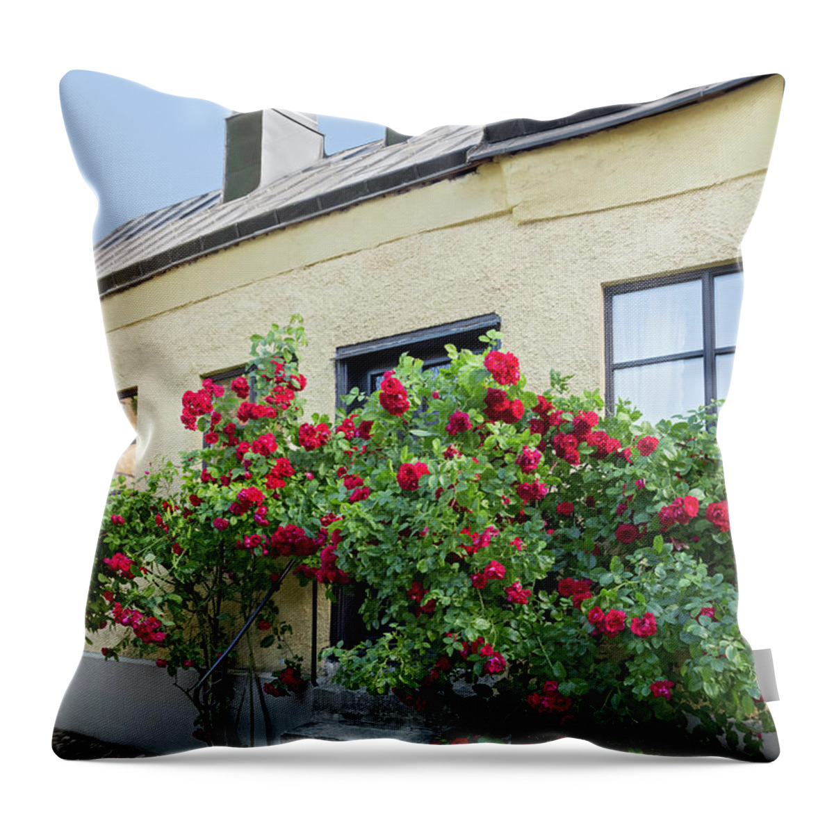 Roses Throw Pillow featuring the photograph Roses growing near the house in a Swedish town Visby by GoodMood Art
