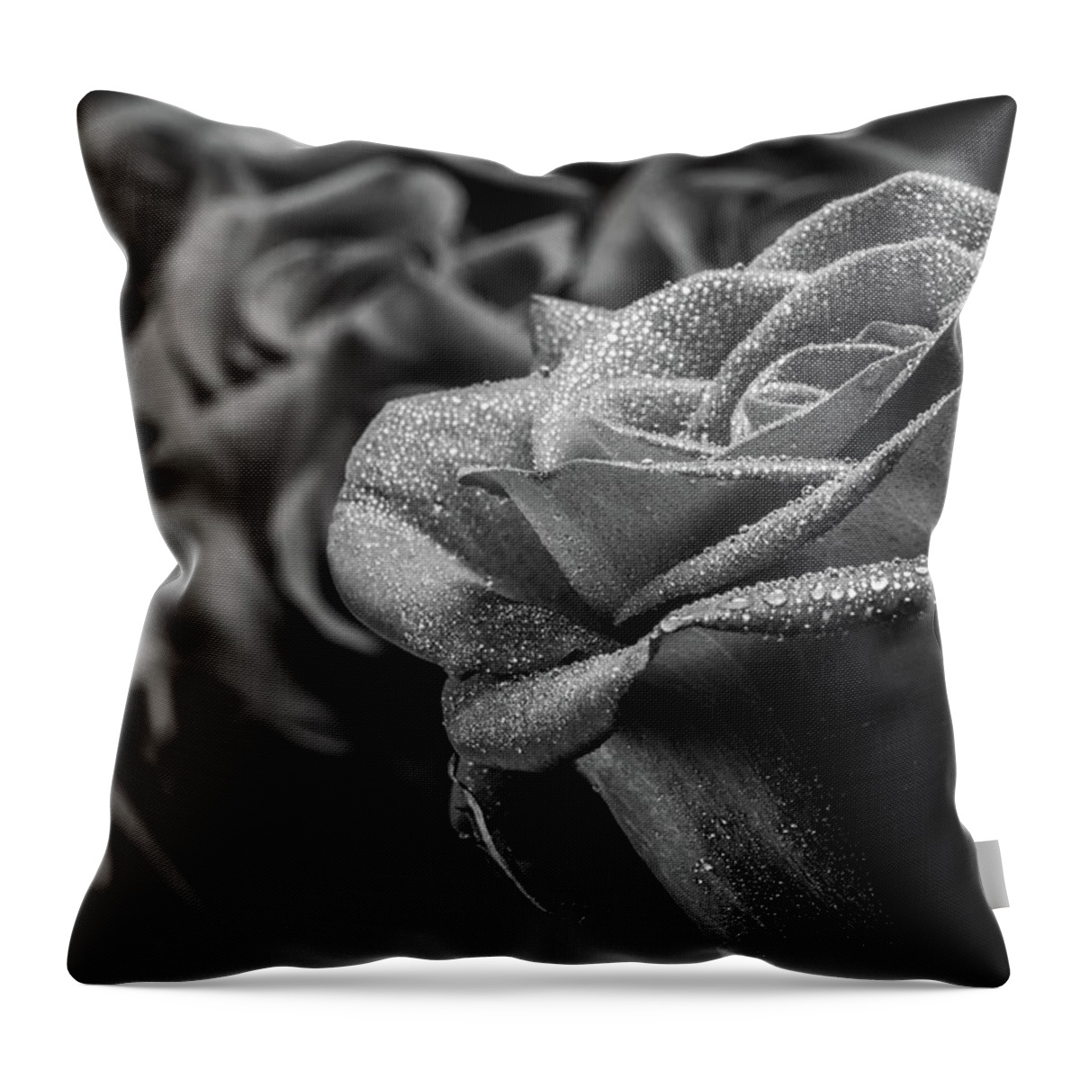 Rose Throw Pillow featuring the photograph Roses in Black and White by Tammy Ray