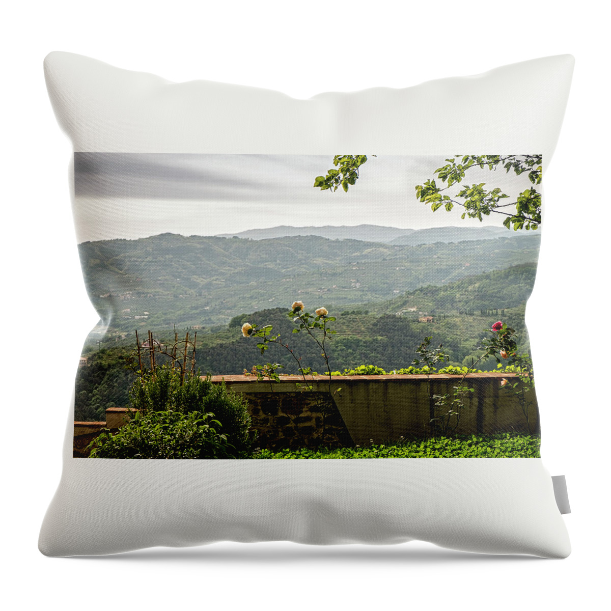Tuscany Throw Pillow featuring the photograph Roses in Tuscany by Catherine Reading